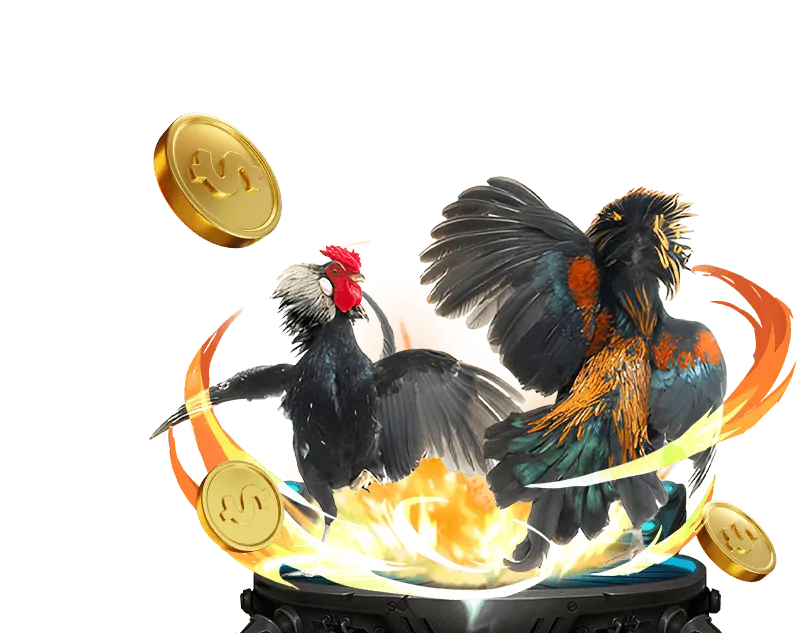 Hỗ trợ khách hàng 66king